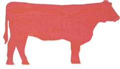Funk Farms Logo